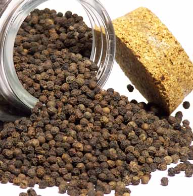 Whole Tellicherry black peppercorns — premium grade bulk black pepper from the Malabar Coast of India
